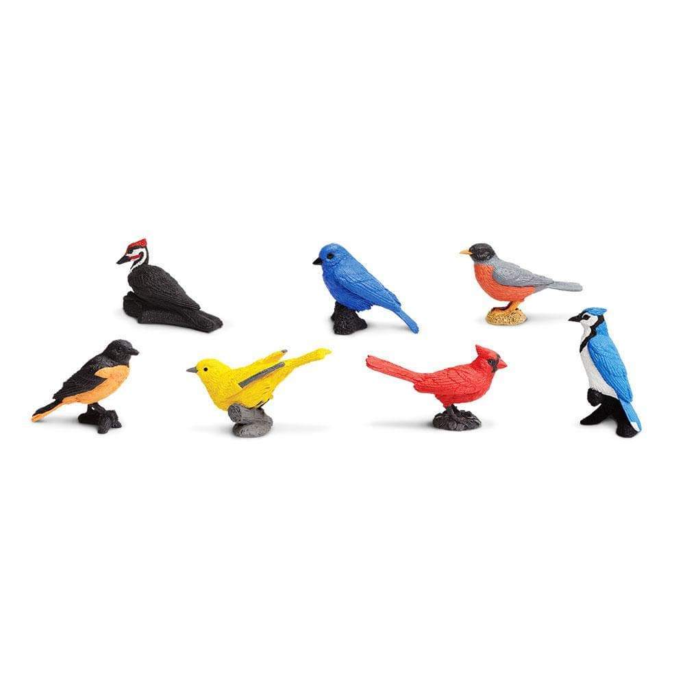 Backyard Birds Toys TOOB®