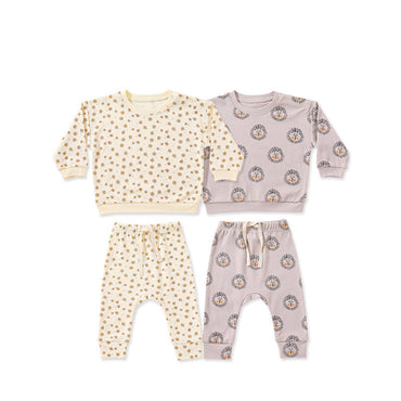 Baby Boy And Girl Print Pattern Cotton Hoodie Combo Trousers Sets